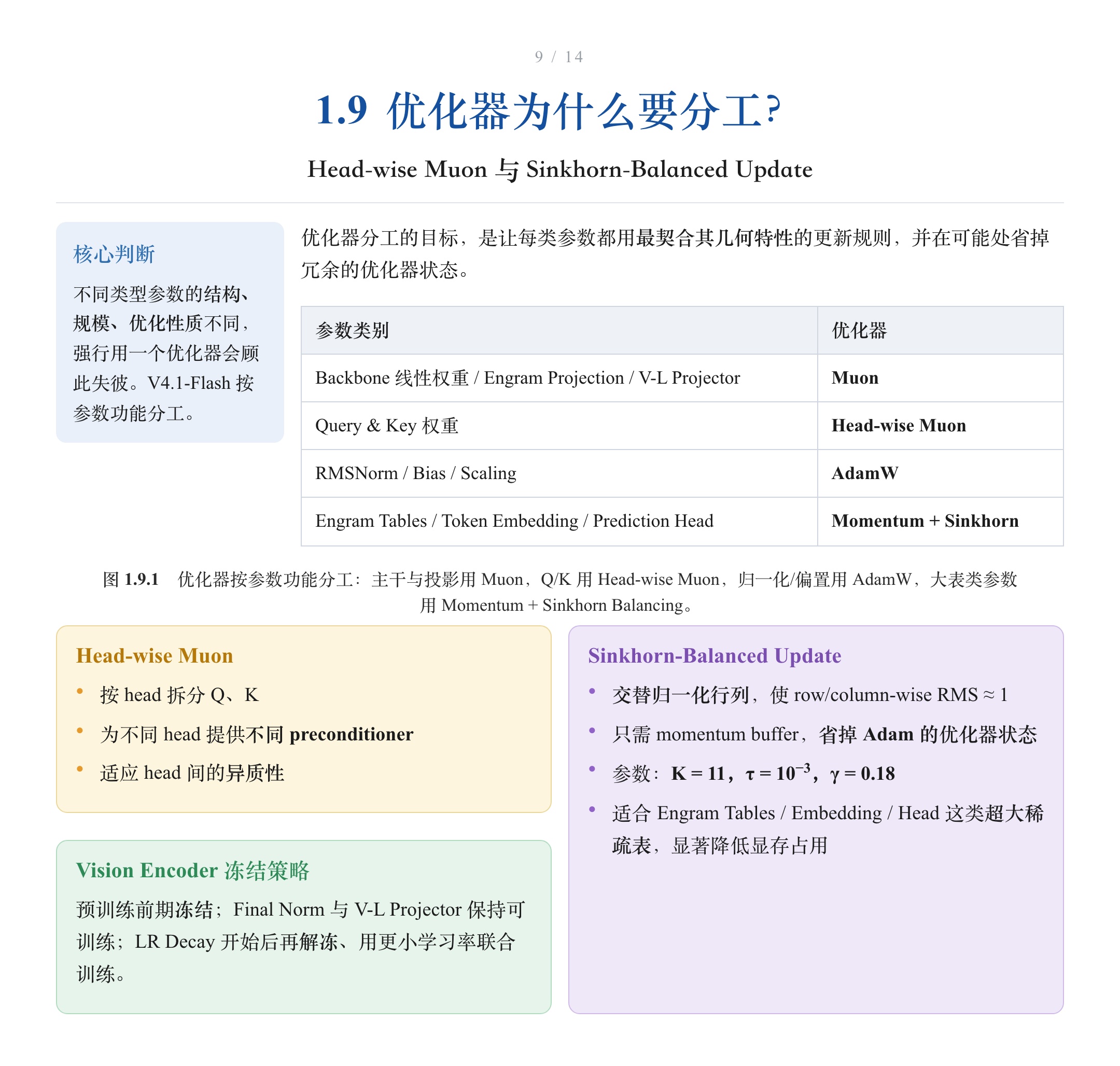 优化器分工:Head-wise Muon、AdamW 与 Sinkhorn-Balanced Update